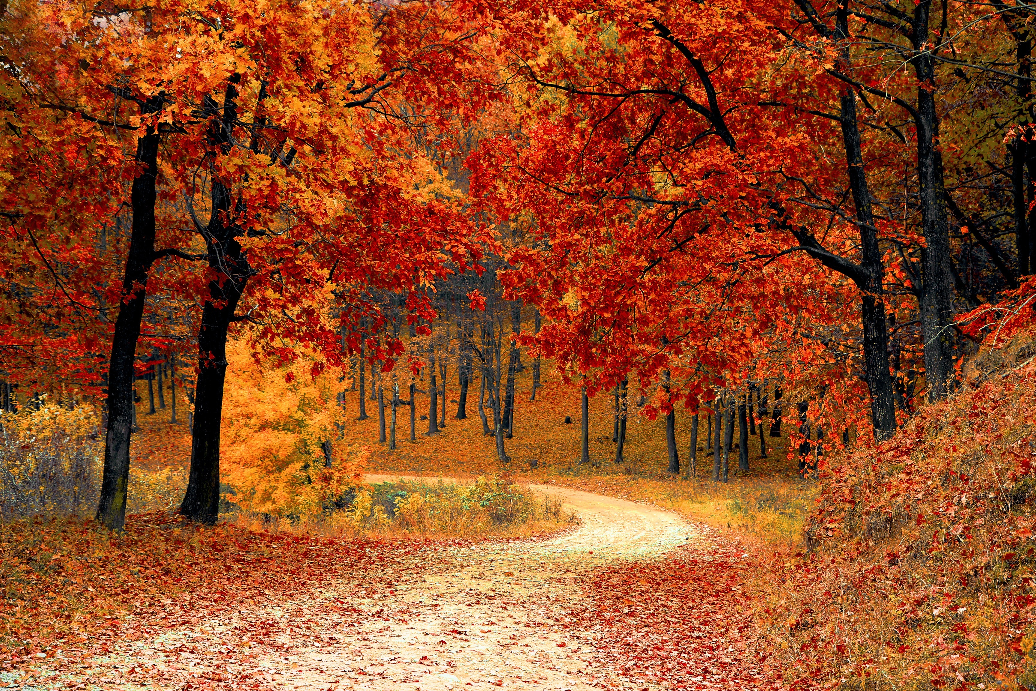 Fall definition. Красивая осень. Природа осень. Осенний парк. Сентябрь природа.